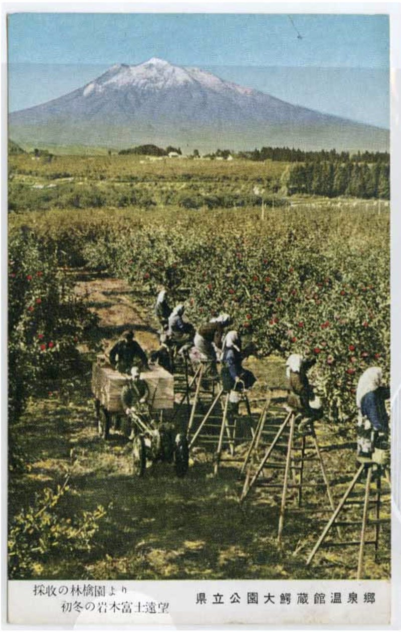 До 1860-х годов японцы не знали яблок: как бывшие самураи с удивлением открыли фрукт